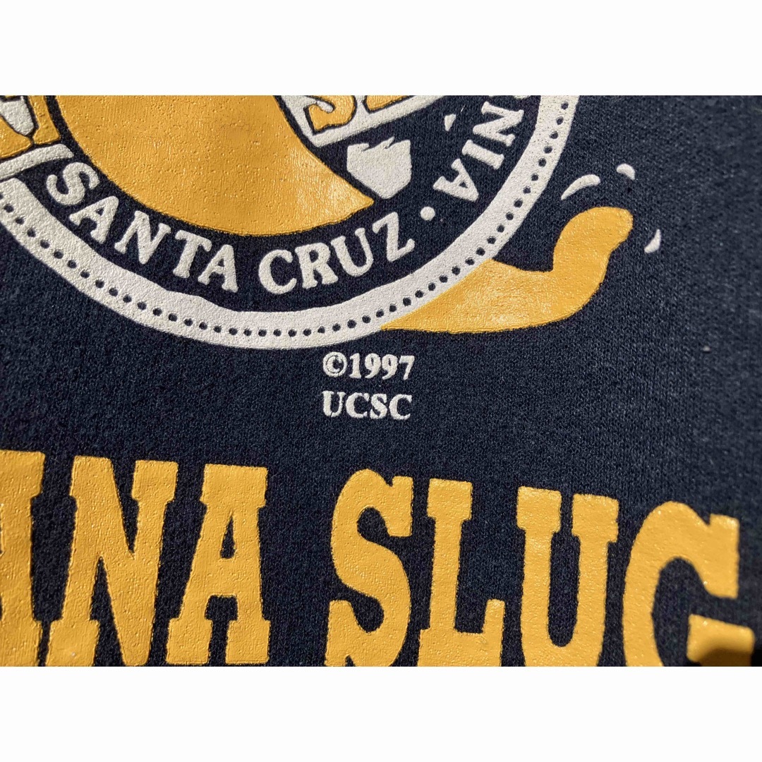 UC SANTACRUZ banana slugs ネイビー パーカー　XL