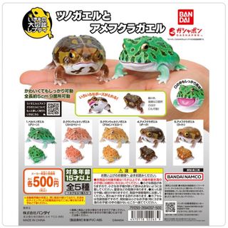 バンダイ(BANDAI)の【◎フルコンプ】【◎匿名配送】いきもの大図鑑 ツノガエルとアメフクラガエル(その他)