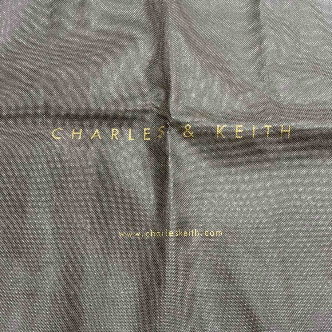 Charles and Keith(チャールズアンドキース)のCHARLES & KEITH  ショップ袋　ブラウン　大サイズ レディースのバッグ(ショップ袋)の商品写真