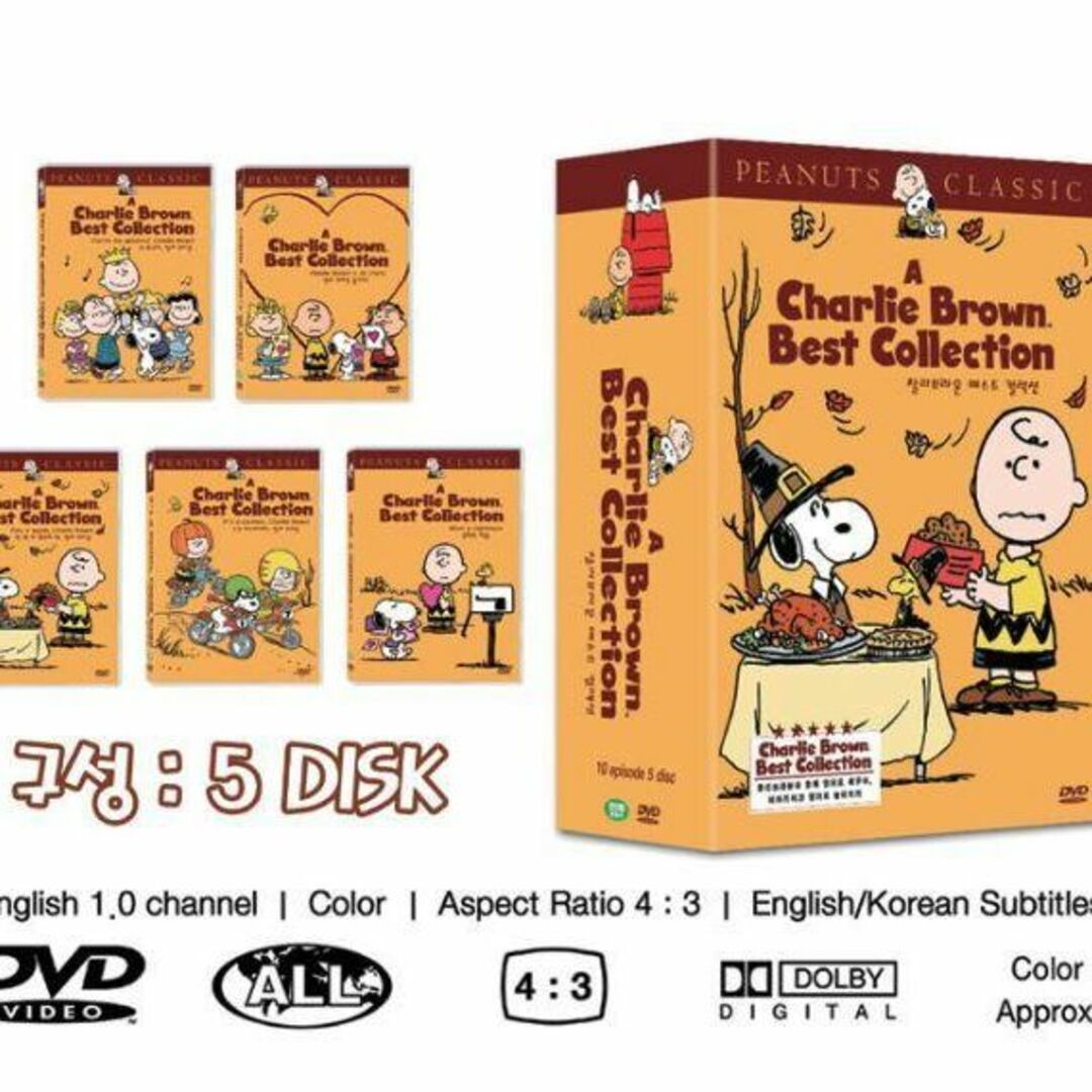 わけ有 日本語無し 韓国正規盤 チャーリーブラウン スヌーピー DVDBOX