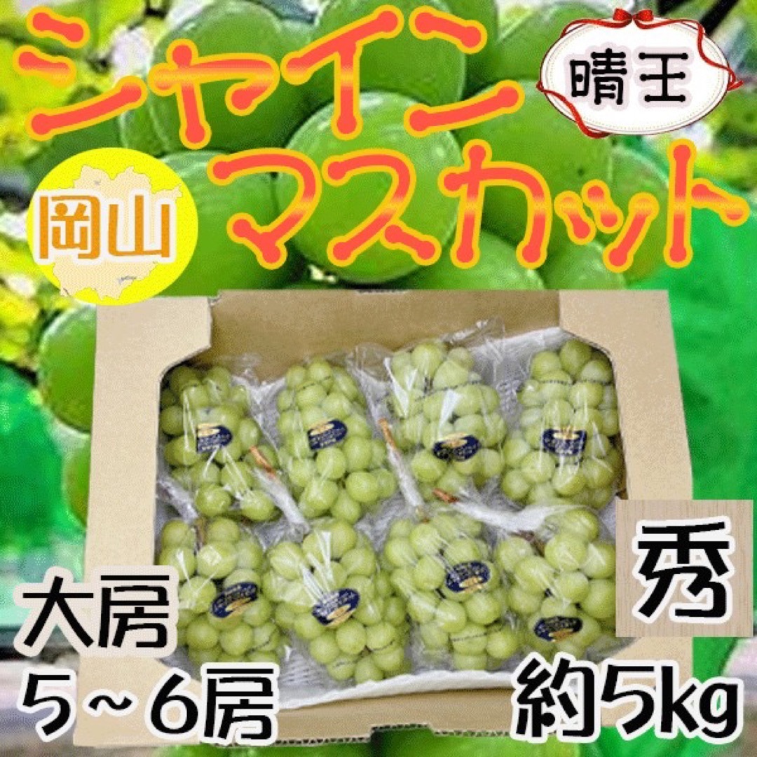 岡山県産　晴王　5〜6房　約5キロ　秀品　クール便発送