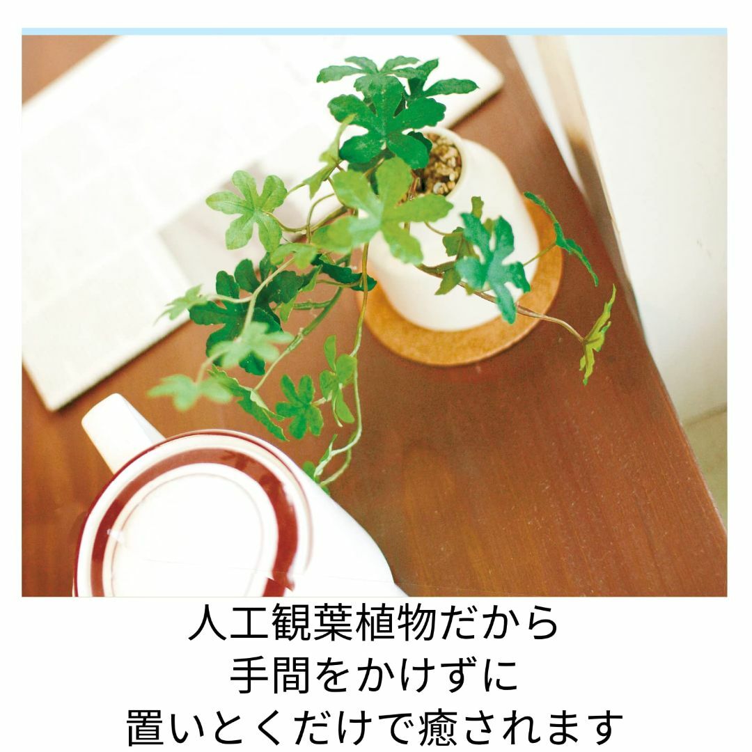 キシマ kishima 人工観葉植物 フェイクグリーン 人工植物 枯れない 造花 2