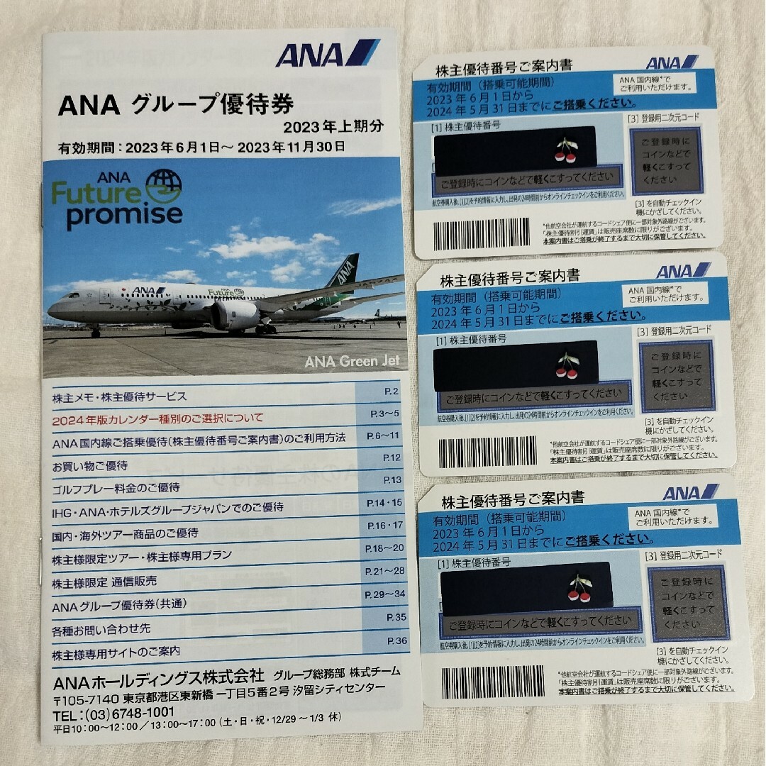 ANA(全日本空輸)(エーエヌエー(ゼンニッポンクウユ))のANA株主優待券 チケットの乗車券/交通券(航空券)の商品写真