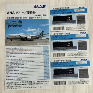 エーエヌエー(ゼンニッポンクウユ)(ANA(全日本空輸))のANA株主優待券(航空券)