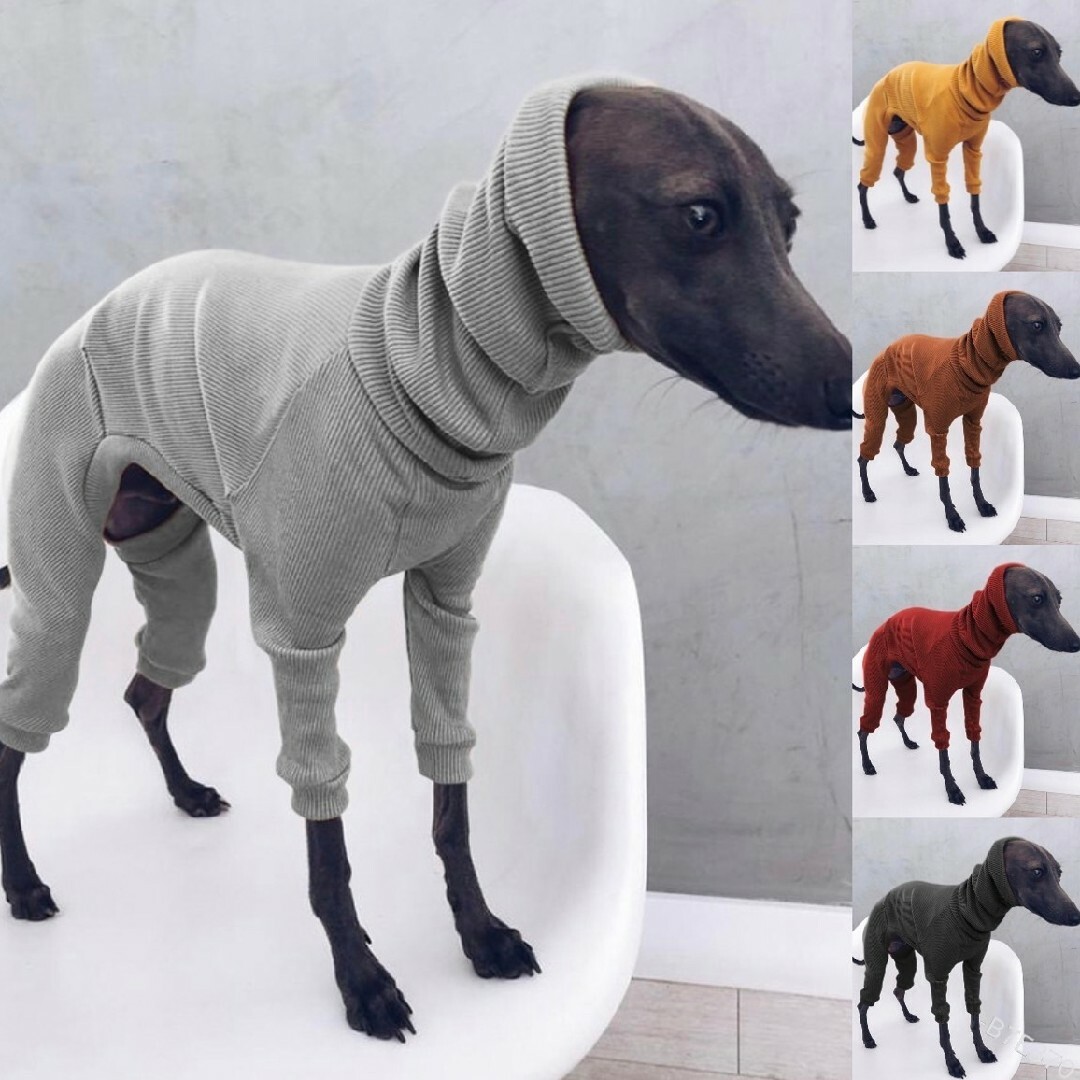 新品 犬服 2色セットイタリアングレートハウンドイタグレ 首元あたたか その他のペット用品(犬)の商品写真