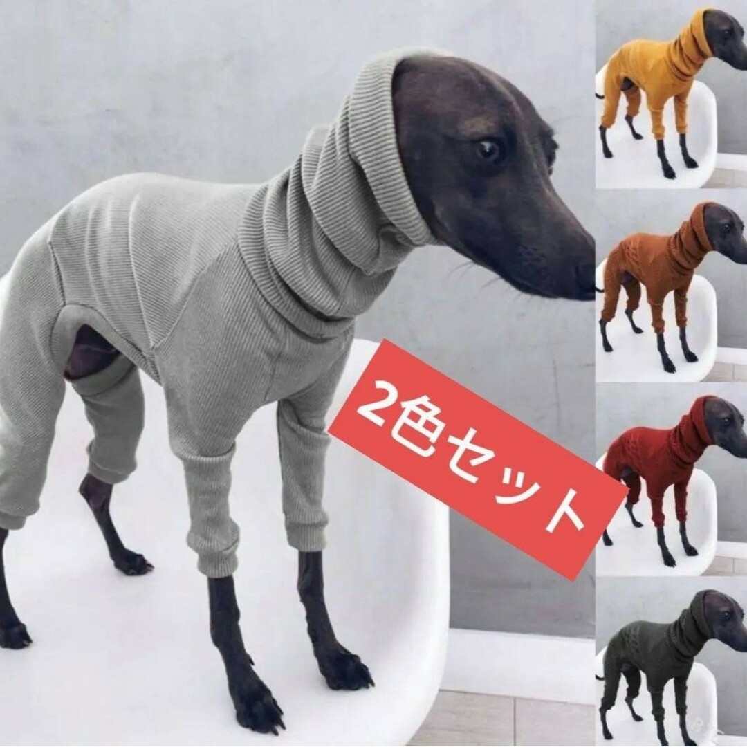 新品 犬服 2色セットイタリアングレートハウンドイタグレ 首元あたたか その他のペット用品(犬)の商品写真