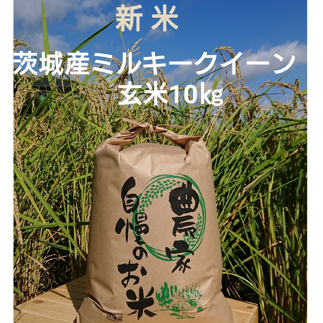 茨城令和5年産新米ミルキークイーン玄米10kg 食品/飲料/酒の食品(米/穀物)の商品写真