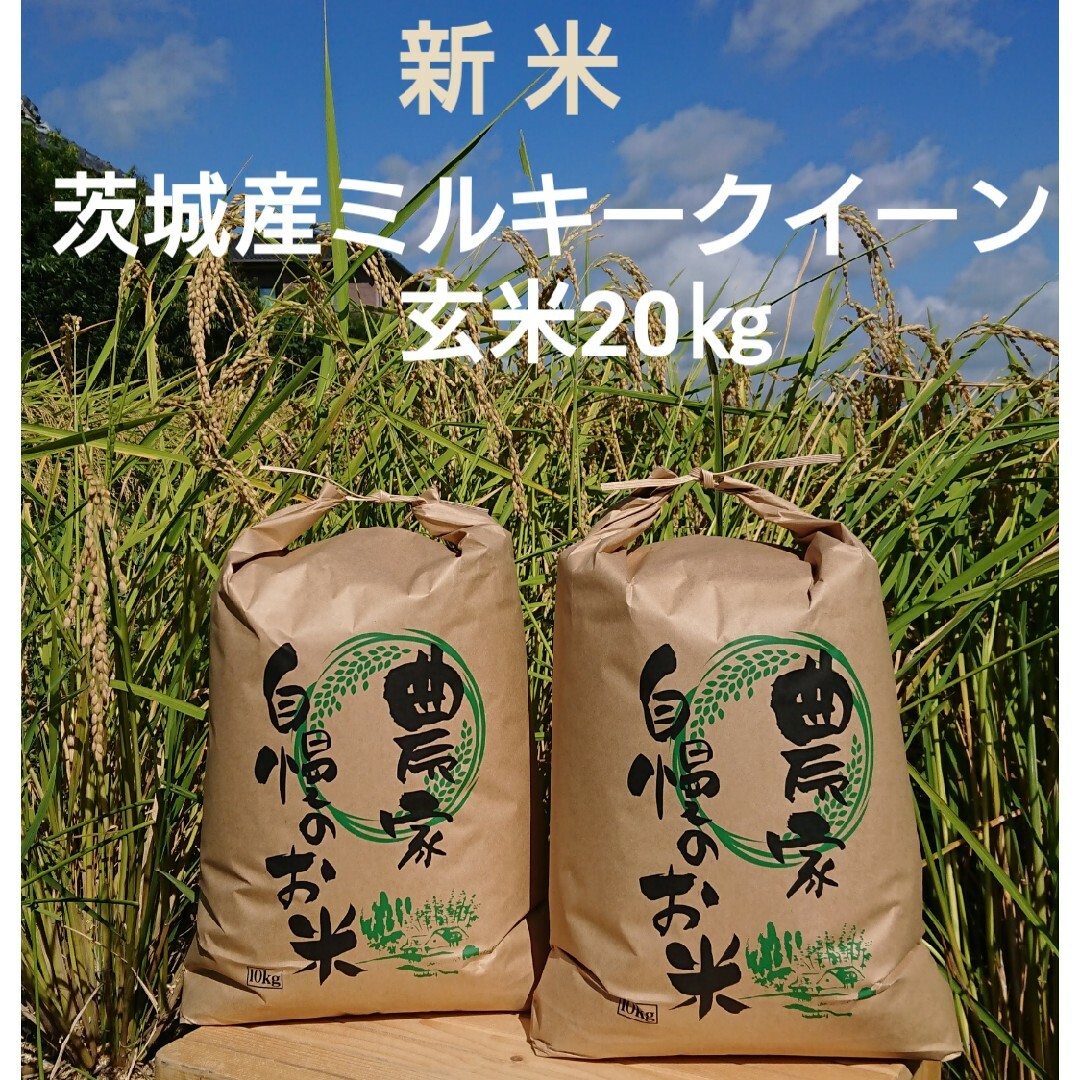 食品/飲料/酒茨城令和5年産新米ミルキークイーン玄米20kg