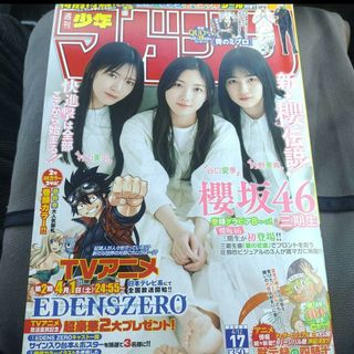 櫻坂46  三期生  週刊少年マガジン  17号   付録応募券無(少年漫画)