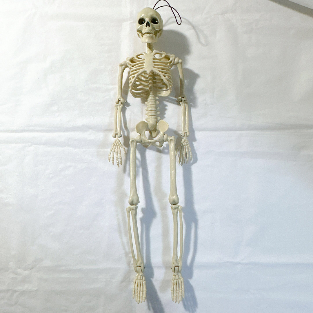 【479】 骸骨フィギュア ガイコツ 人体・骨の模型 ポーズ 関節可動 模型  エンタメ/ホビーのおもちゃ/ぬいぐるみ(模型/プラモデル)の商品写真