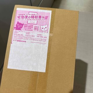 ポケモン(ポケモン)のポケモンワールドチャンピオンシップス2023横浜 記念デッキ ピカチュウ(Box/デッキ/パック)