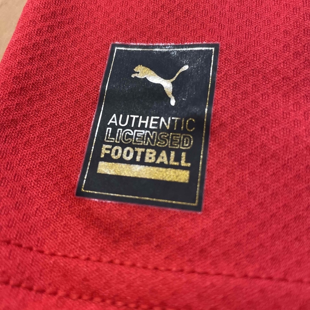 PUMA(プーマ)のサッカー　オーストリア代表　海外M スポーツ/アウトドアのサッカー/フットサル(ウェア)の商品写真