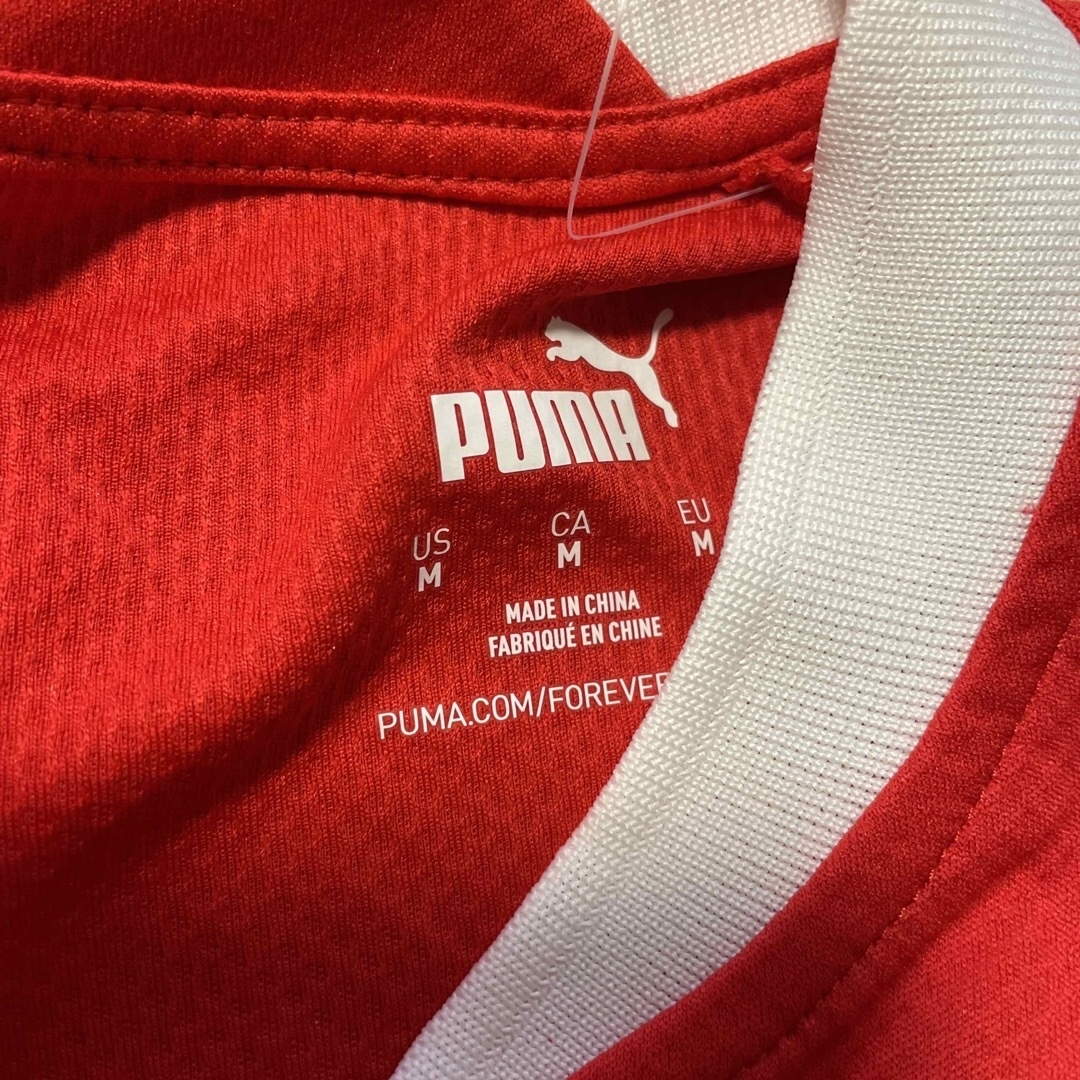 PUMA(プーマ)のサッカー　オーストリア代表　海外M スポーツ/アウトドアのサッカー/フットサル(ウェア)の商品写真