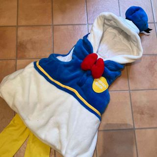 ディズニー(Disney)のハロウィン　コスプレ　ディズニー　ドナルドダック(その他)