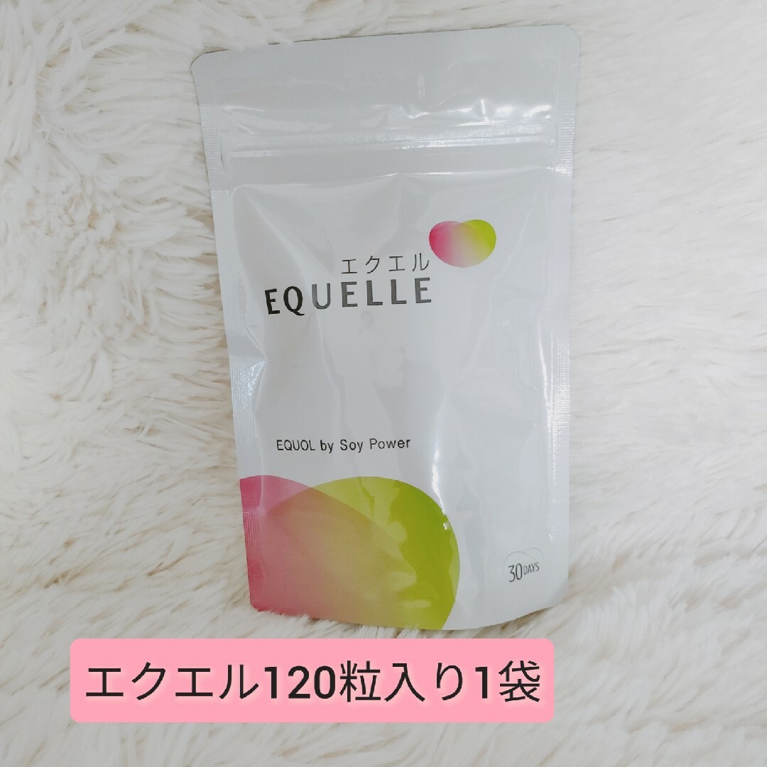 大塚製薬(オオツカセイヤク)のエクエル 120粒入り 1袋 食品/飲料/酒の食品(その他)の商品写真