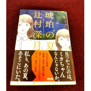 琥珀の夏(文学/小説)