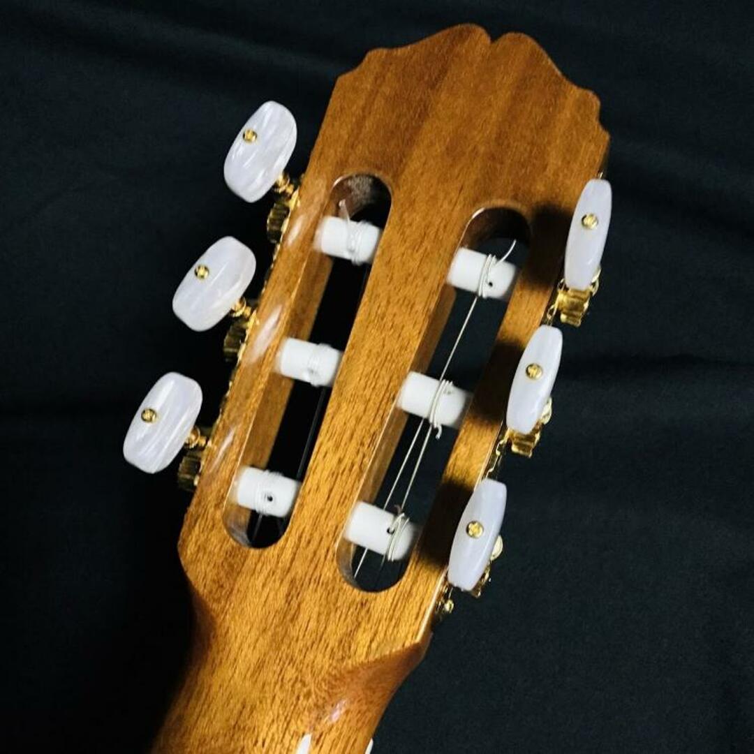 定休日以外毎日出荷中] takamine エレガットギター エレキギター