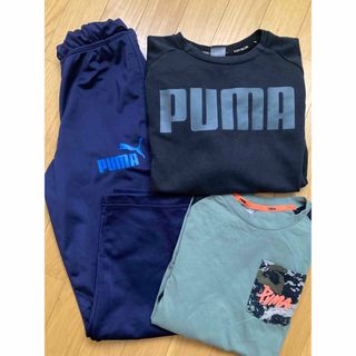 プーマ(PUMA)のPUMA プーマ 150サイズ 3点セット(ウェア)