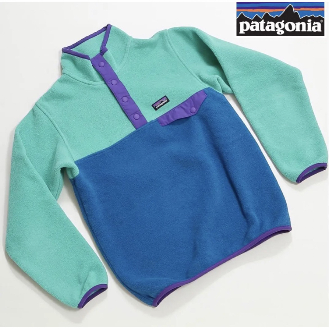 patagonia - 【美品】Patagonia (パタゴニア)フリース、LWシンチラ