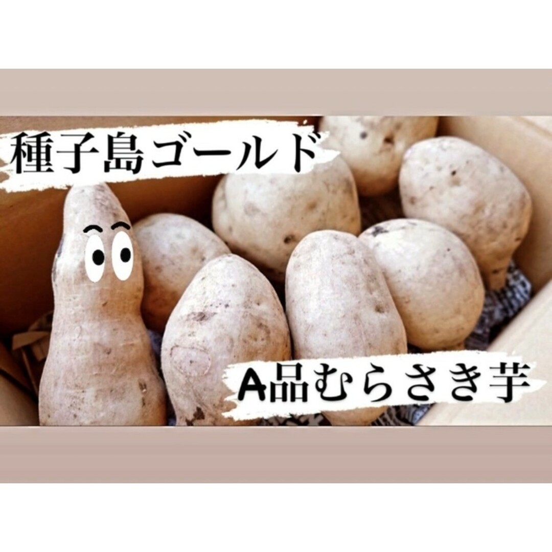 種子島ゴールド　2キロ 食品/飲料/酒の食品(野菜)の商品写真