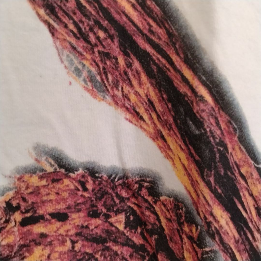 nine inch nails Tシャツ 白 レア ナインインチネイルズ-