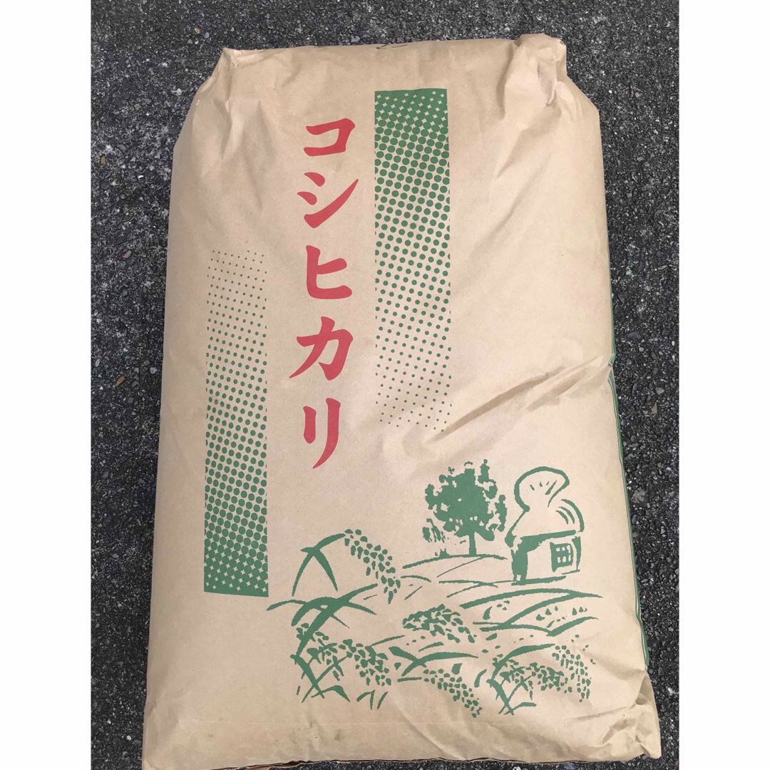 福島県産米コシヒカリ24.5kg　①令和４年産　米/穀物