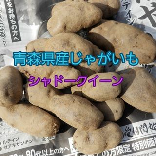 シャドークイーン　約5kg　じゃがいも　青森県産　シャドークイン　紫のジャガイモ(野菜)