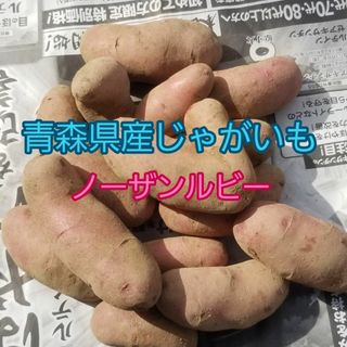 ノーザンルビー　約5kg　じゃがいも　青森県産　ピンクのジャガイモ(野菜)