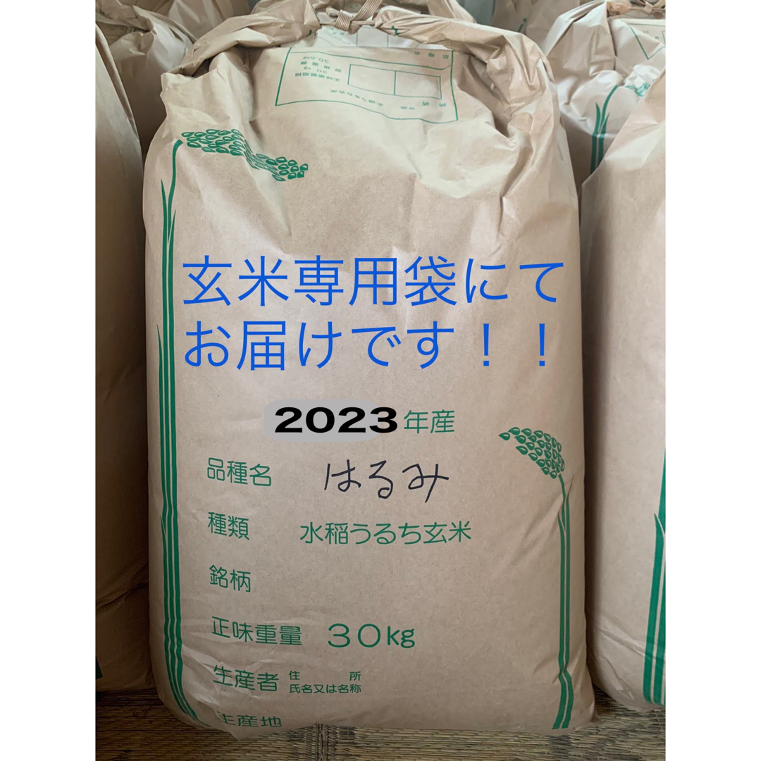 はるみ☆新米☆玄米☆20キロ☆コシヒカリ☆キヌヒカリ☆お米20kg　米/穀物