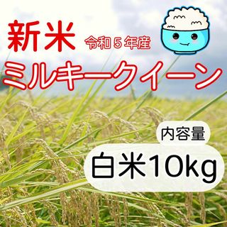 新米　ミルキークイーン　白米　10kg　無洗米にも対応！(米/穀物)