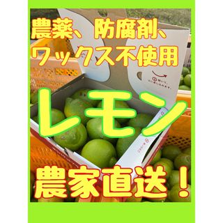 グリーンレモン　無農薬　瀬戸内レモン　農薬　防腐剤　除草剤　不使用　レモン(フルーツ)