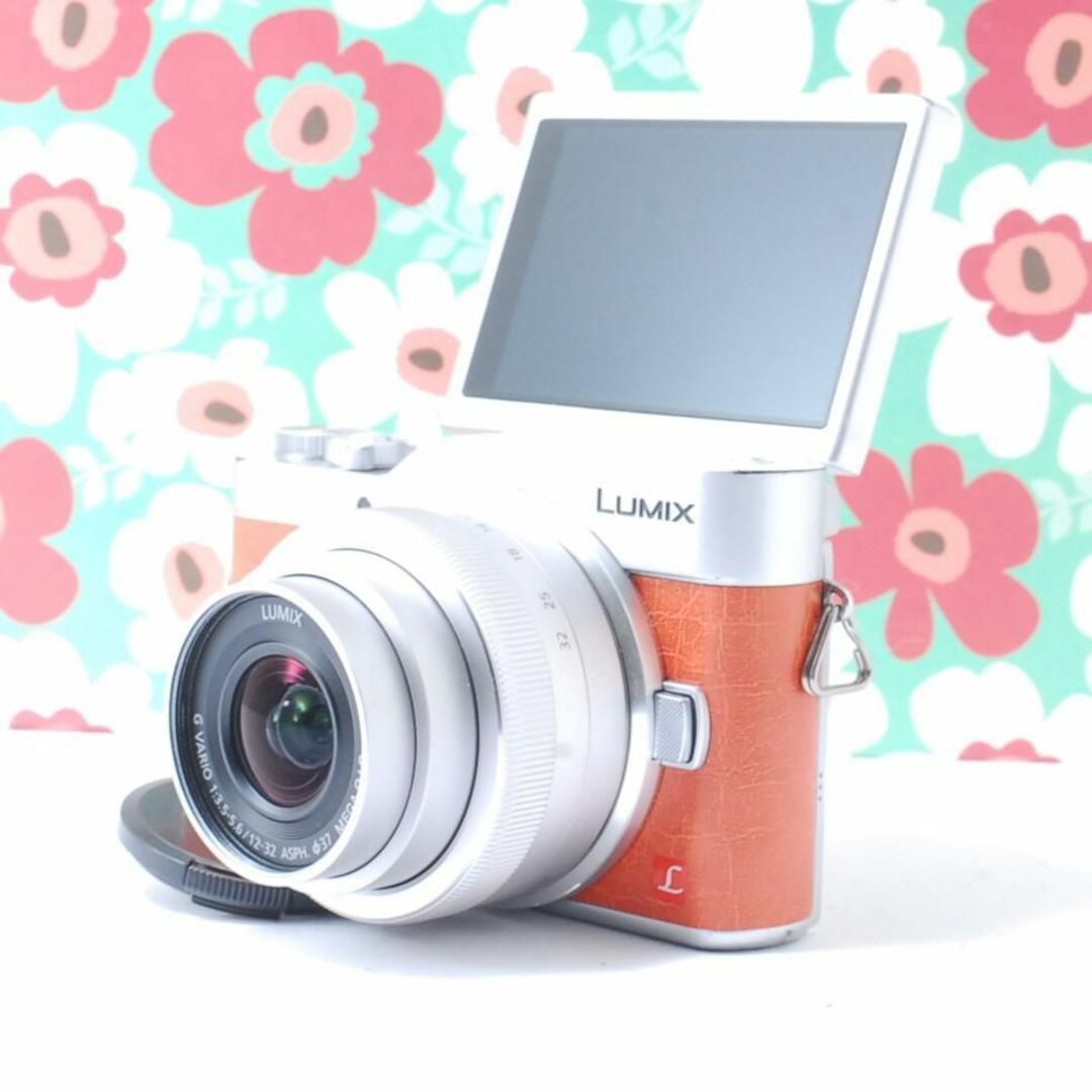 LUMIX GF9 カメラケースとmicroSDカード付き