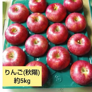 りんご(秋陽) 約5kg(フルーツ)