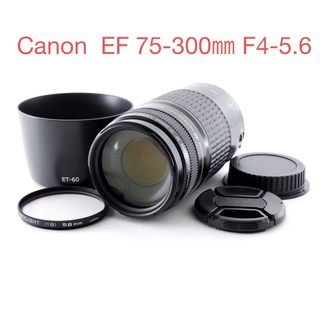 Canon - ☆フード付き☆人気の望遠レンズ キヤノン Canon EF75-300㎜の