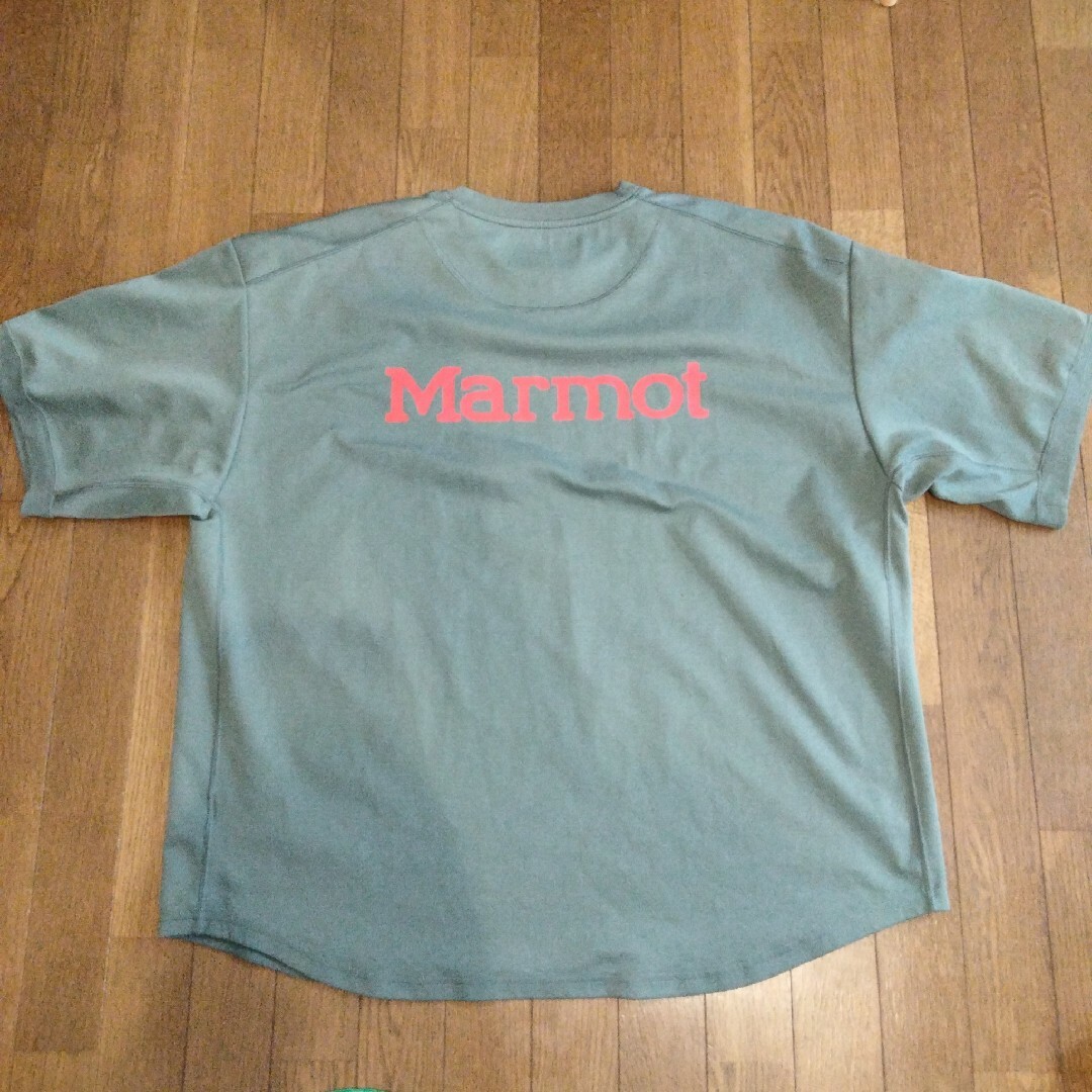 STABRIDGE Marmot Back Logo H/S Crew FKH-