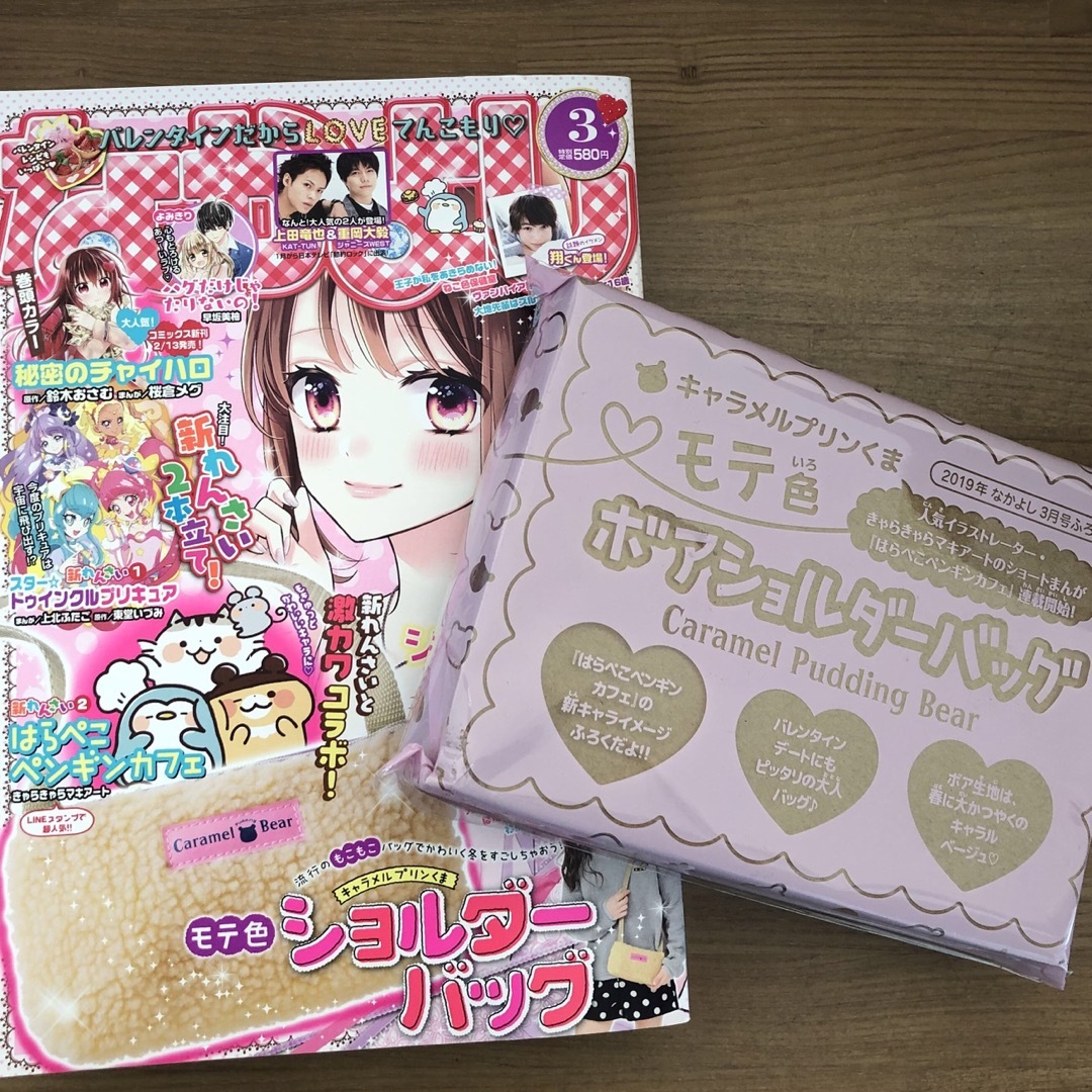 講談社(コウダンシャ)の2019年　なかよし3月号　ボアバッグ エンタメ/ホビーのおもちゃ/ぬいぐるみ(キャラクターグッズ)の商品写真