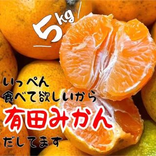 和歌山県産　有田みかん　箱込み5kg(フルーツ)