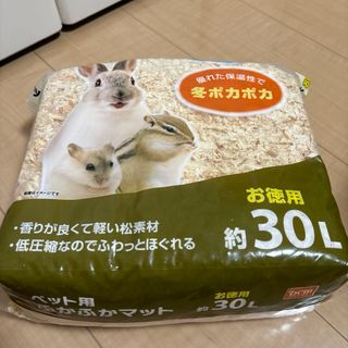 ハムスター　木クズ(小動物)