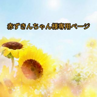 スノーの通販 59点(ハンドメイド) | お得な新品・中古・未使用品の