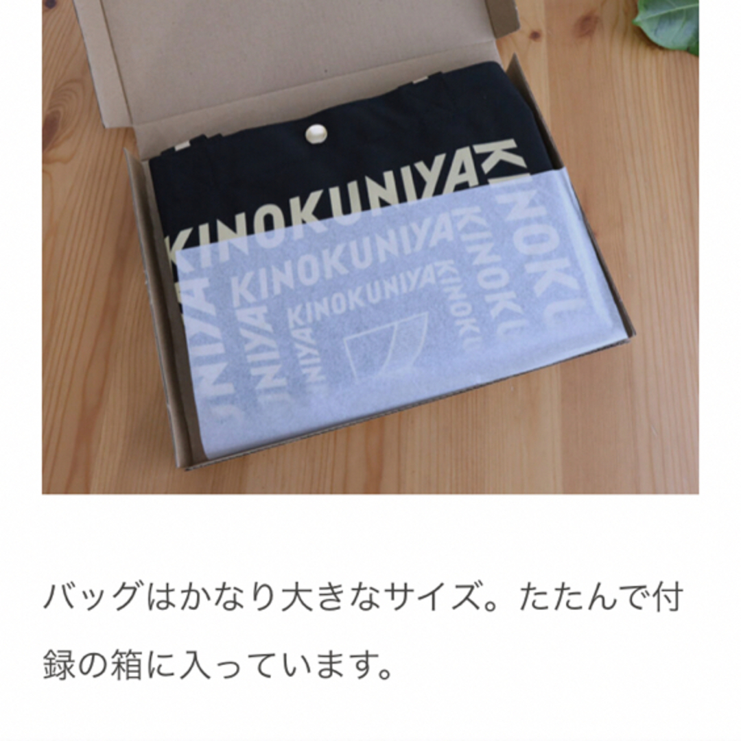 紀ノ国屋(キノクニヤ)の紀ノ国屋 × ジャーナルスタンダード♡大容量バッグオトナミューズ付録のみ　未開封 レディースのバッグ(エコバッグ)の商品写真