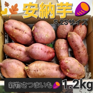淡路島産新物さつまいも🍠ミニ安納芋(S、2S)1.2kg(野菜)