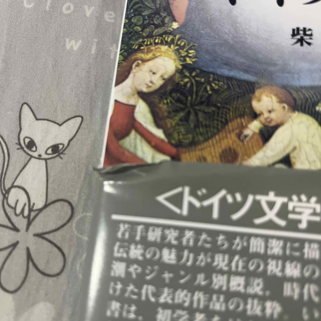 はじめて学ぶドイツ文学史 エンタメ/ホビーの本(文学/小説)の商品写真