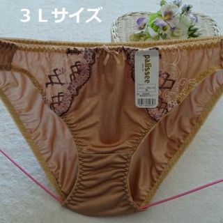 D381-4★ビキニショーツ(ブラウン系)3L【複数購入割引有】(ショーツ)