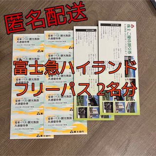 富士急ハイランドフリーパス2名分＋α(遊園地/テーマパーク)