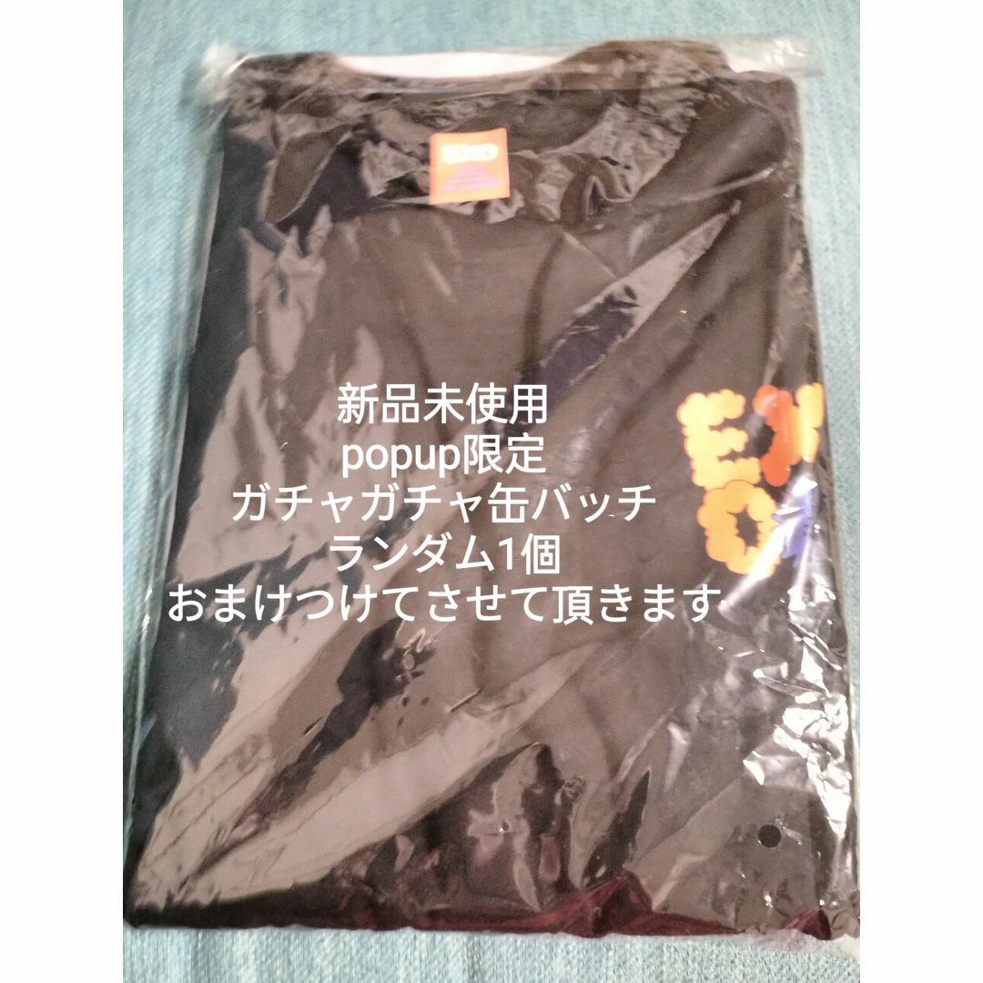 EXO(エクソ)のEXO サダリ　ロングTシャツ エンタメ/ホビーのタレントグッズ(アイドルグッズ)の商品写真