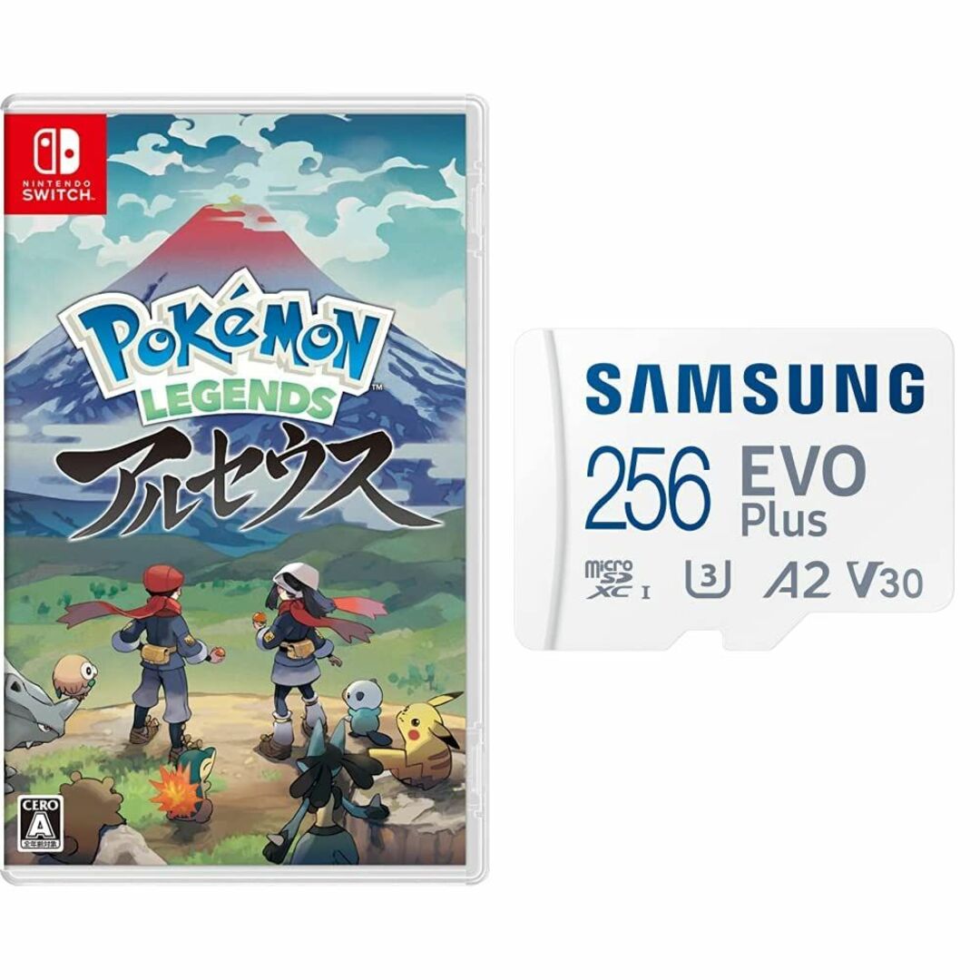 【機種・種類:パッケージ版+microSDセット(256GB)】【microSD