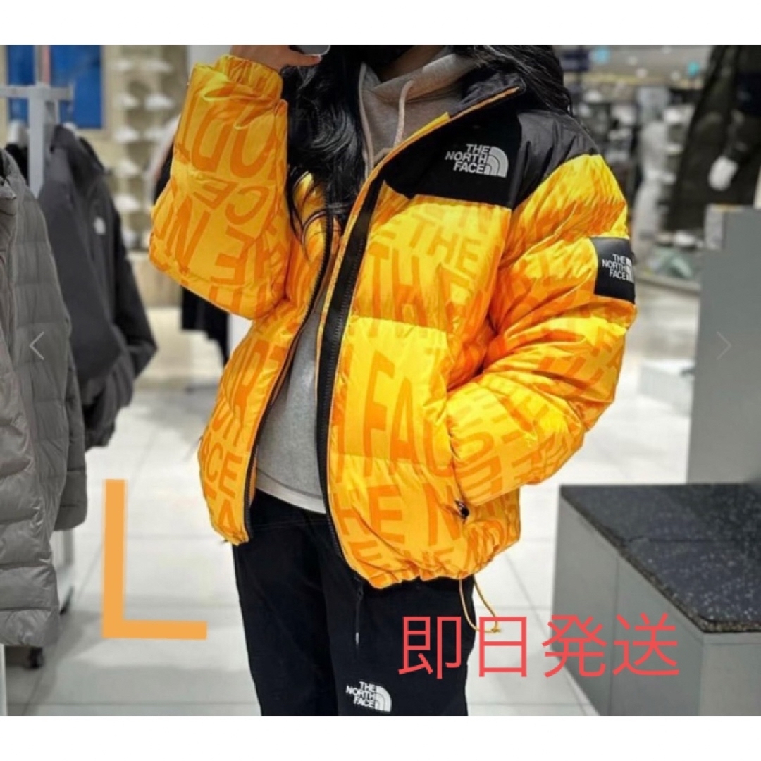 即発送THE NORTH FACE NOVELTY NUPTSE DOWN