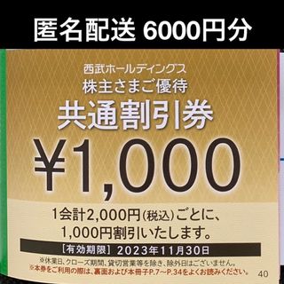 サイタマセイブライオンズ(埼玉西武ライオンズ)の【匿名配送】西武 株主優待 共通割引券×6枚 (その他)