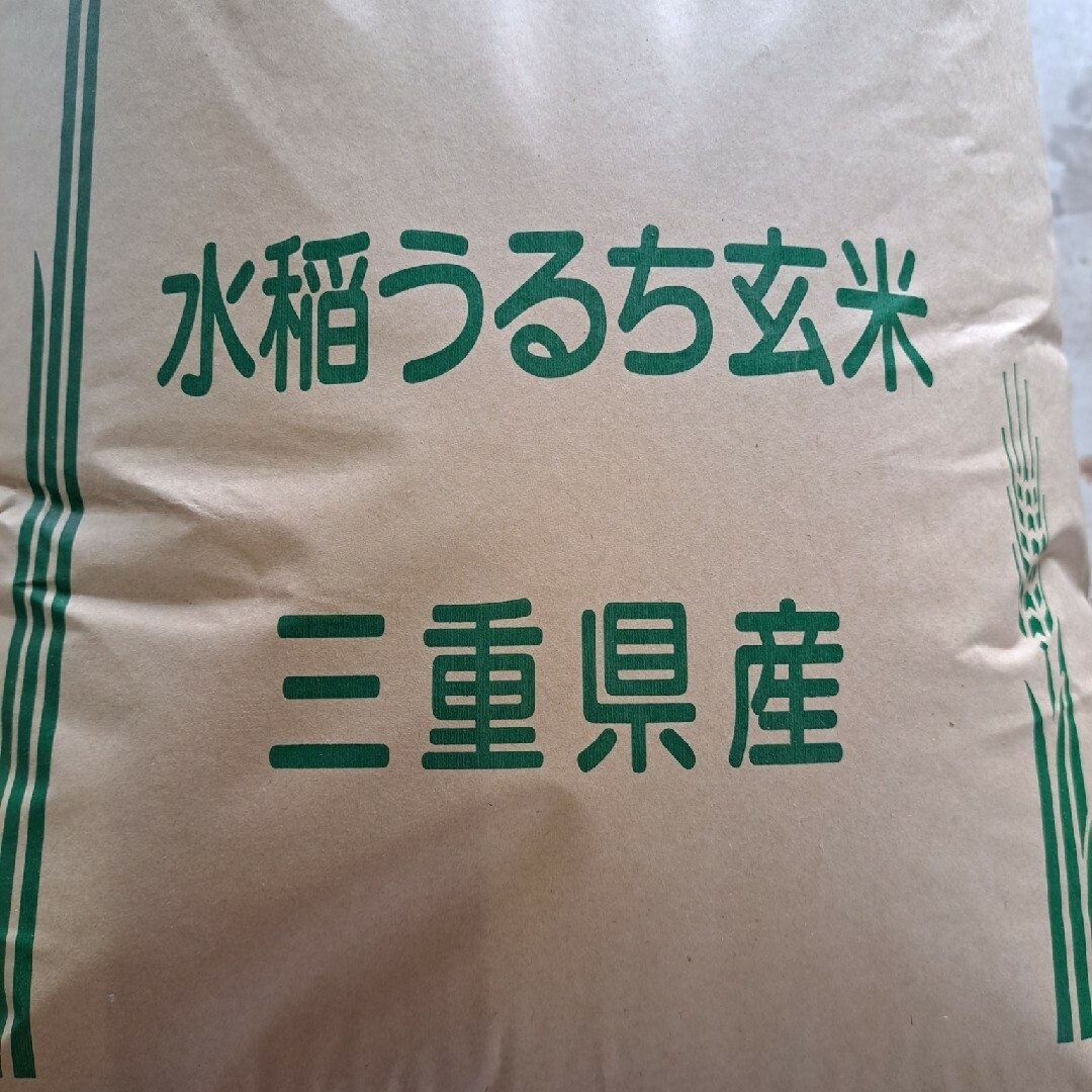 農家直送　令和五年　三重県産コシヒカリ玄米30kg『新米:初めて出品‼️』