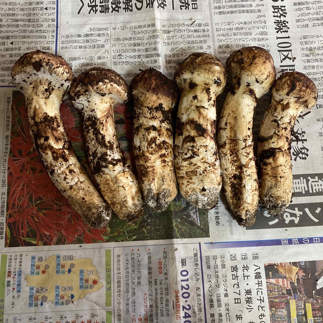 岩手県産、松茸!の通販 by yu's SHOP|ラクマ